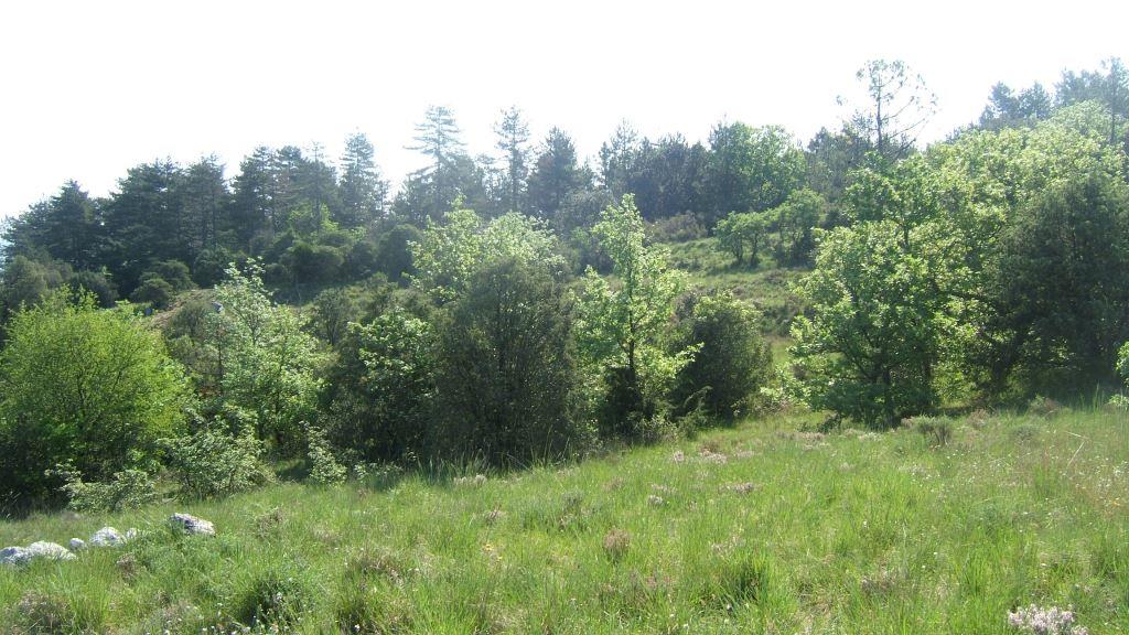 La Roche, le gîte, nature isolée