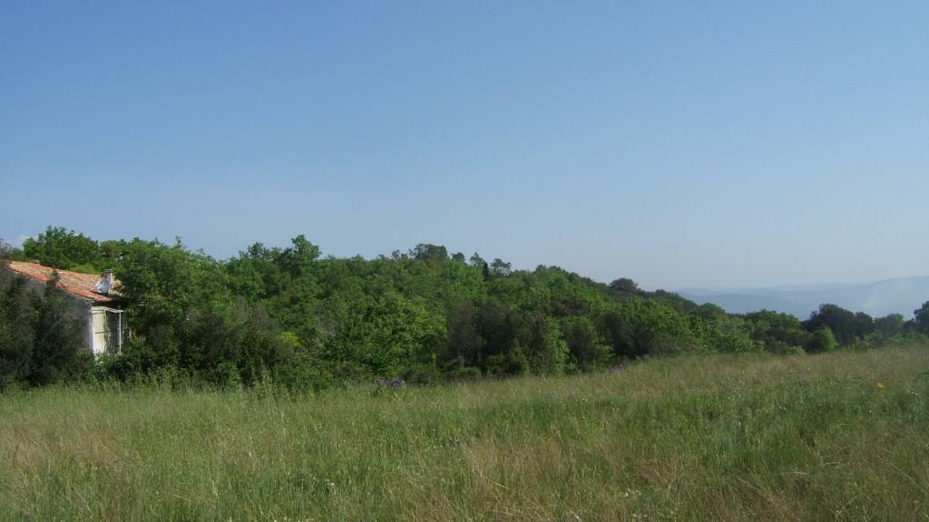 Parc de La Roche