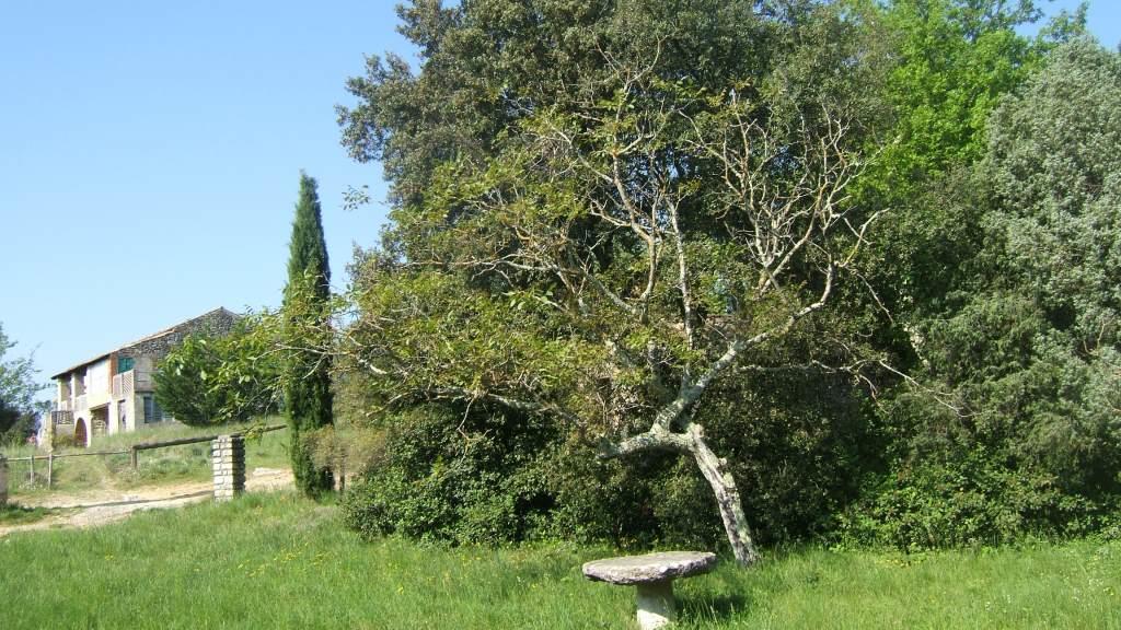 Parc de La Roche