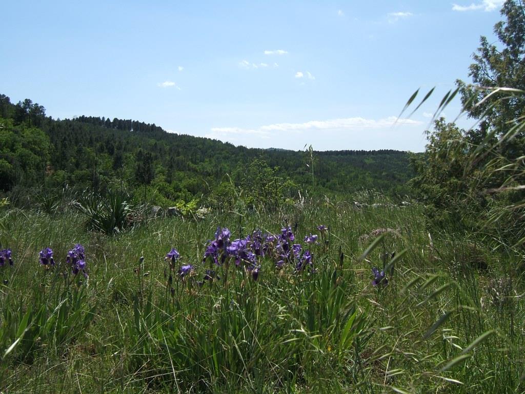 Parc de La Roche